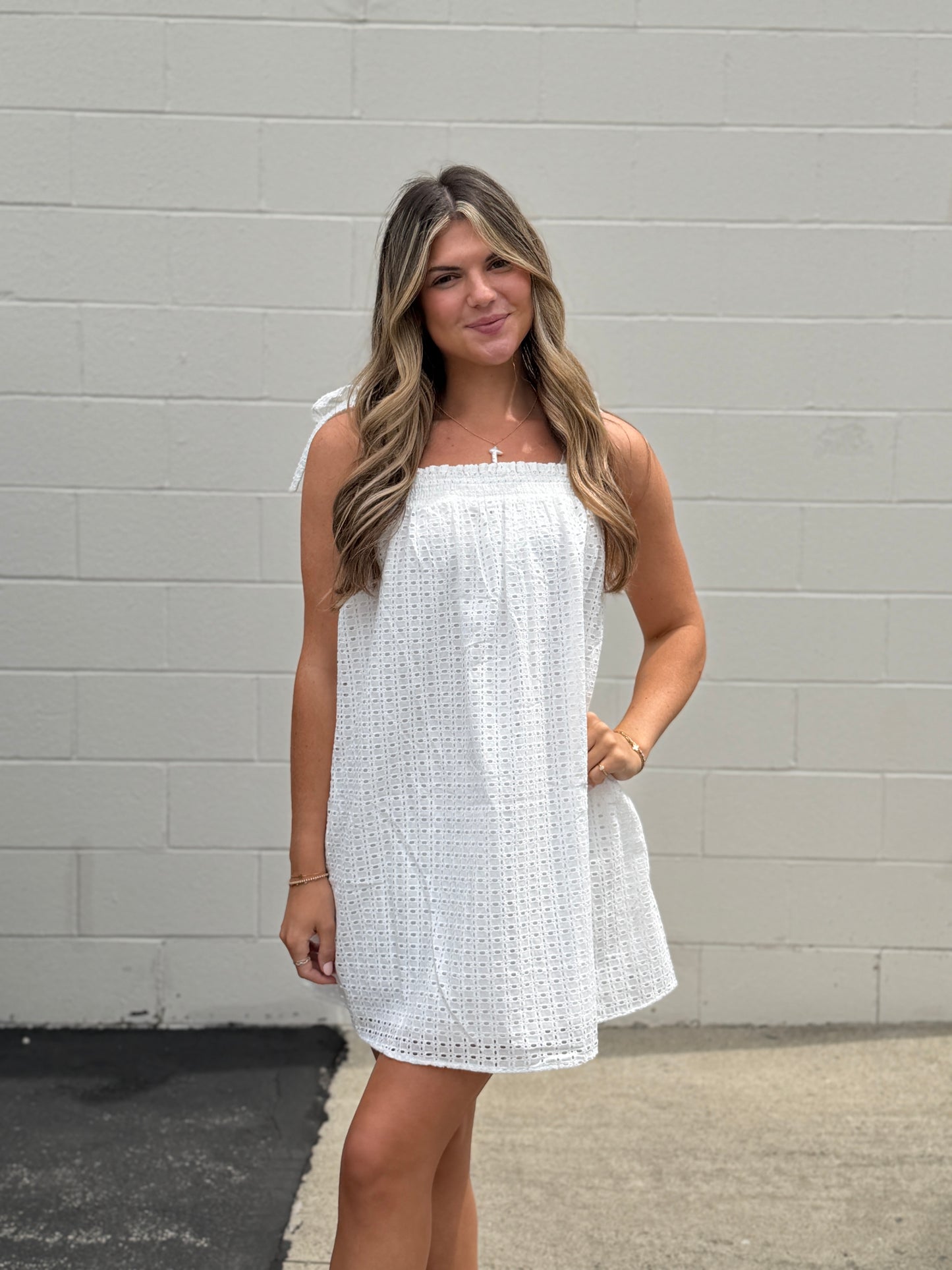 Woven Eyelet Mini Dress