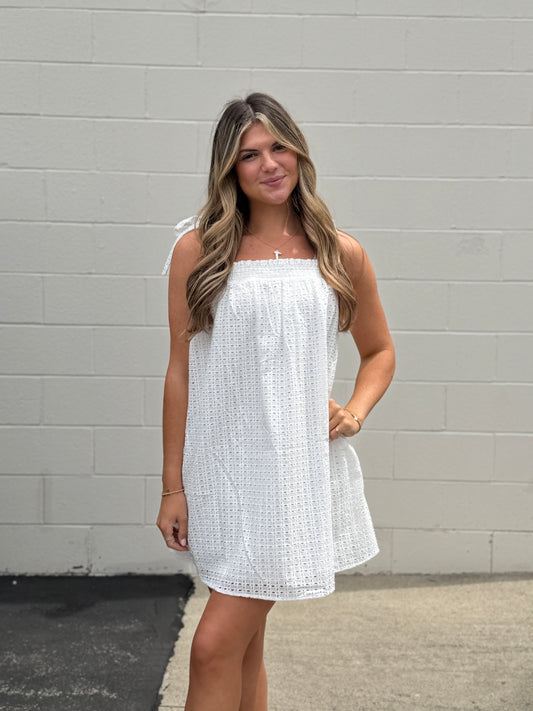 Woven Eyelet Mini Dress